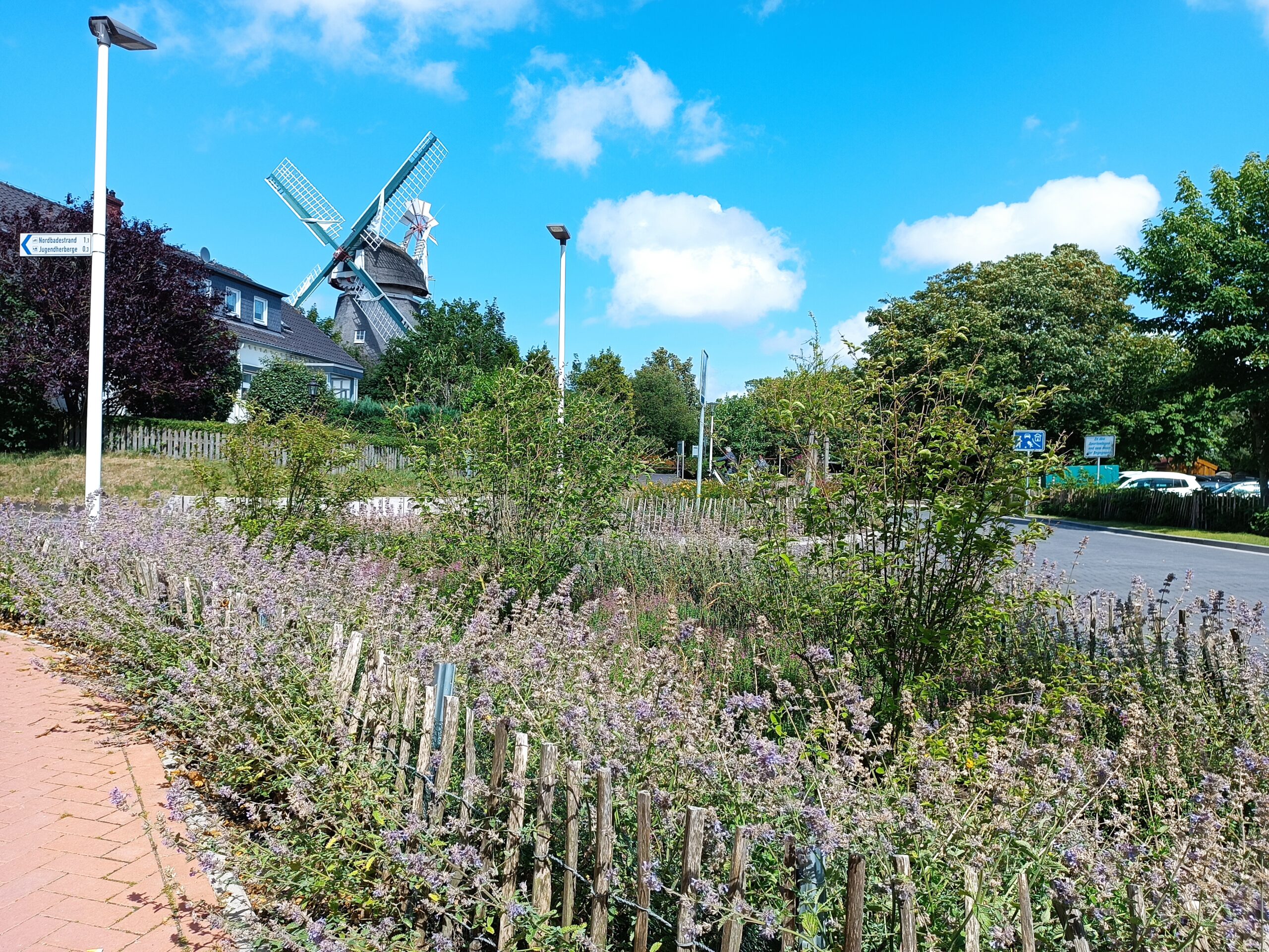 Norderney - green street
