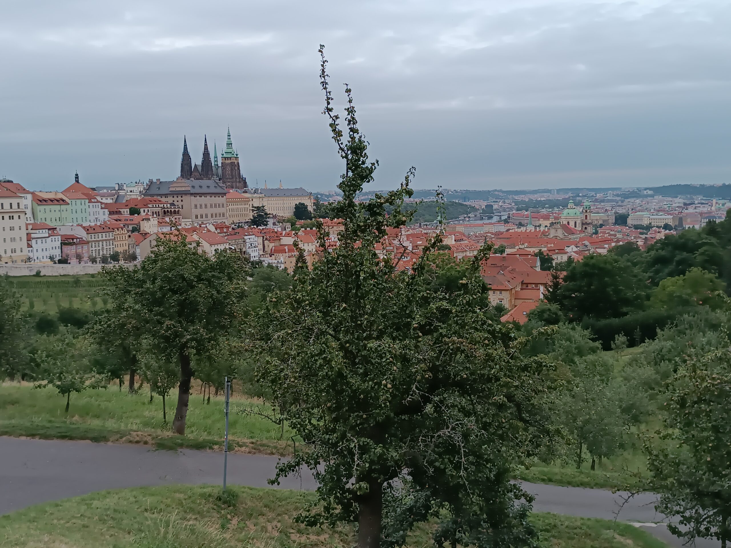 Prag - urban agriculture